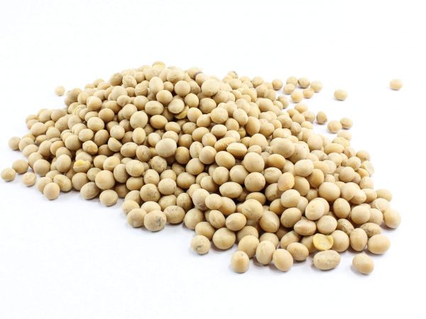 SOYA BEANS