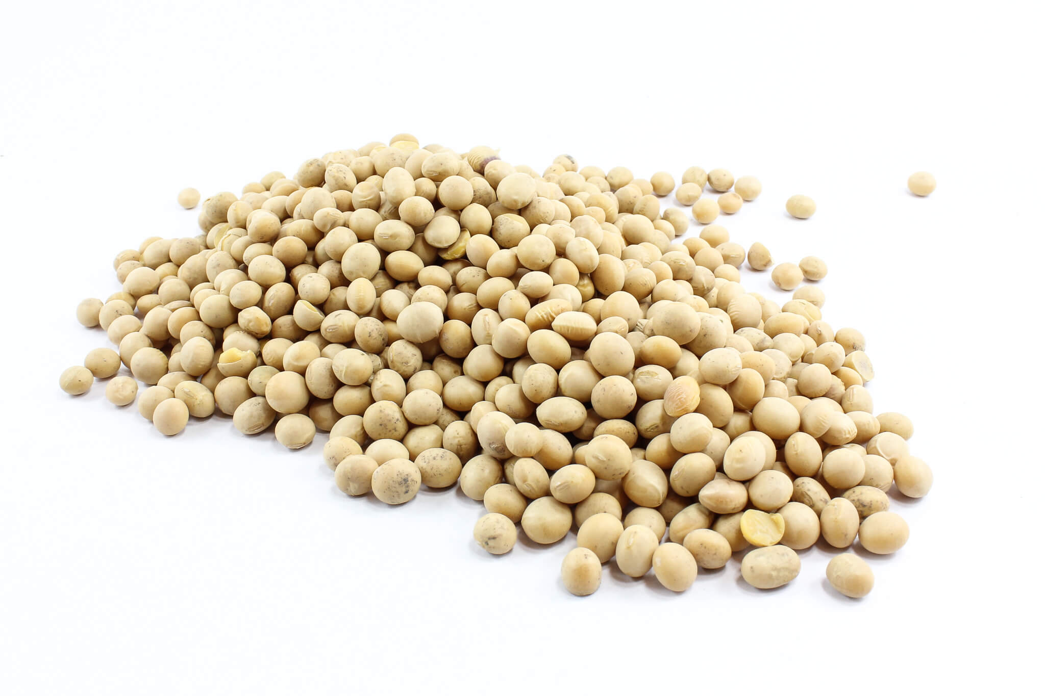 SOYA BEANS