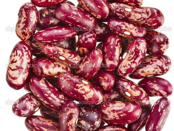 RED SPECKLED KIDNEY BEANS