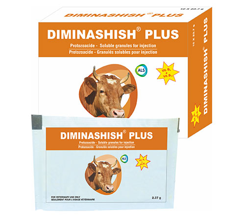 DIMINASHISH PLUS Powder For Injection