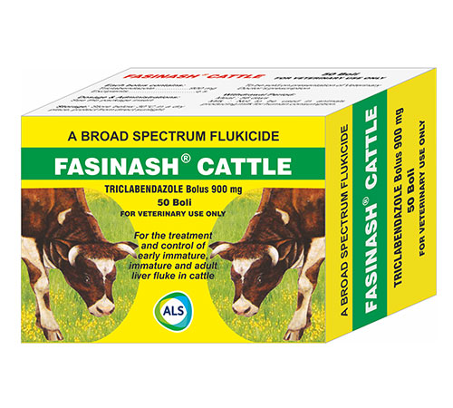 FASINASH CATTLE Bolus