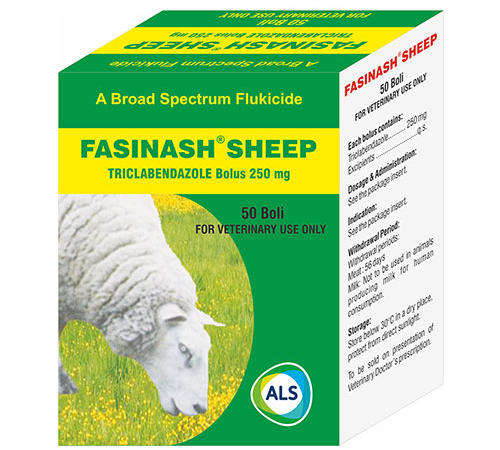 FASINASH SHEEP Bolus