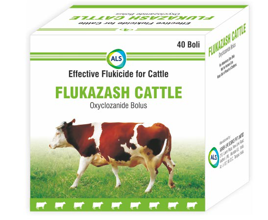 FLUKAZASH CATTLE