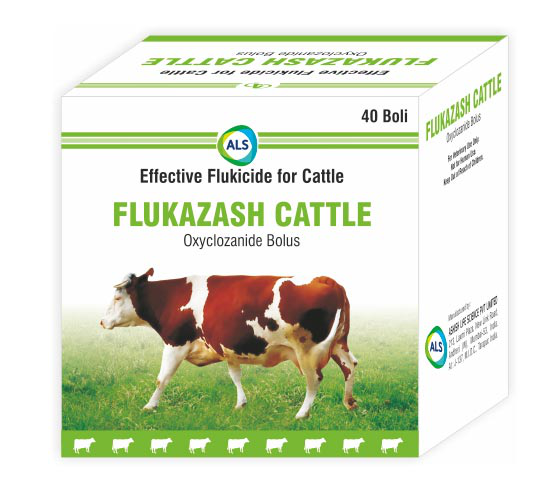 FLUKAZASH CATTLE