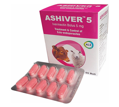 ASHIVER 5 BOLUS