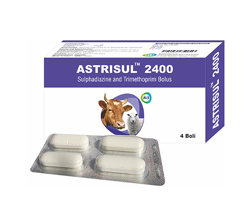 ASTRISUL 2400 Bolus