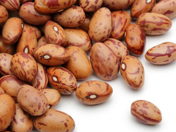 PINTO BEANS