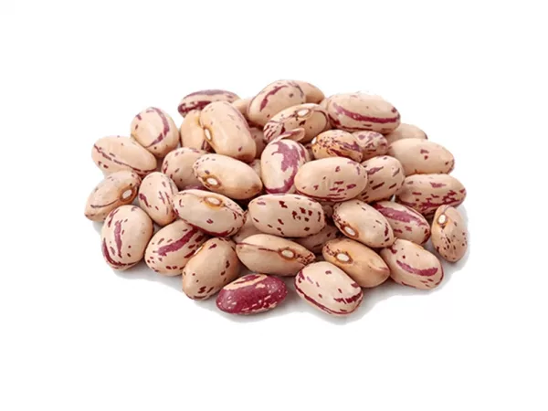 LIGHT SPECKLED KIDNEY BEANS